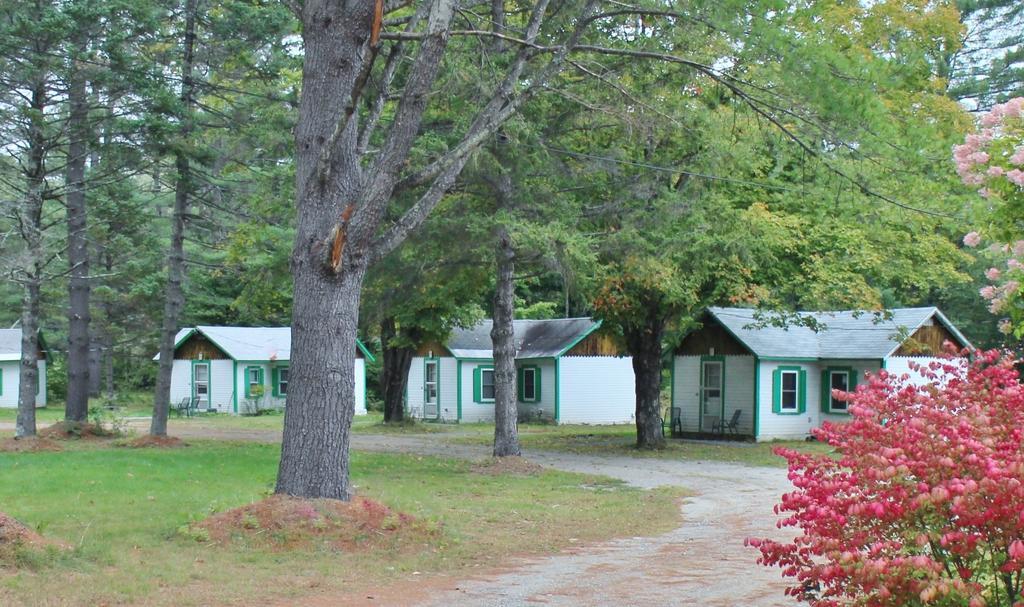 Pine Valley Cabins Thornton Δωμάτιο φωτογραφία