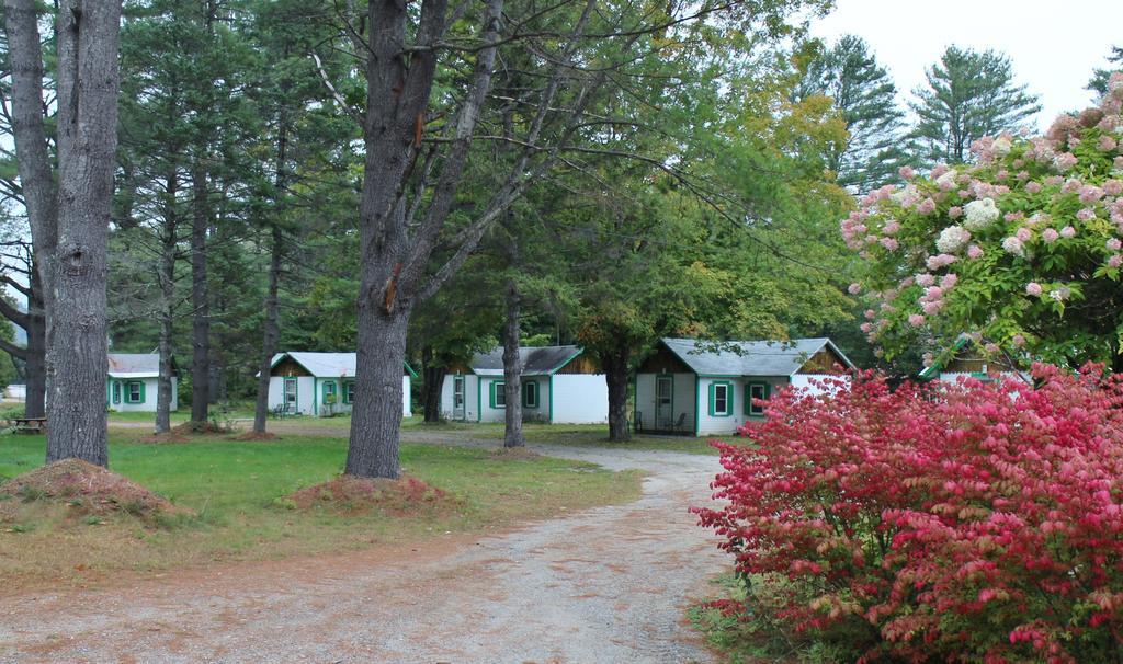 Pine Valley Cabins Thornton Εξωτερικό φωτογραφία
