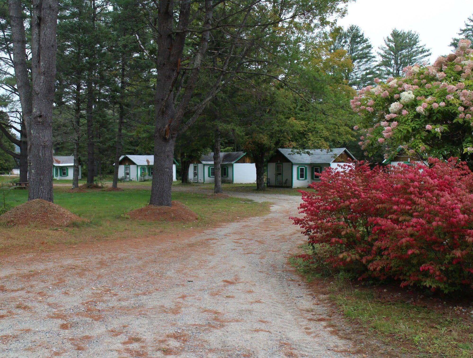 Pine Valley Cabins Thornton Εξωτερικό φωτογραφία