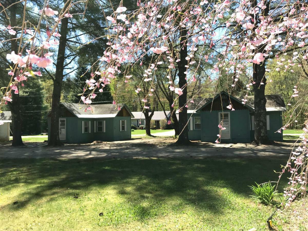 Pine Valley Cabins Thornton Εξωτερικό φωτογραφία